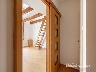K dlouhodobému podnájmu nabízíme útulný byt o dispozici 1+kk