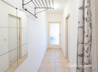 K dlouhodobému podnájmu nabízíme krásný prosluněný byt o dis