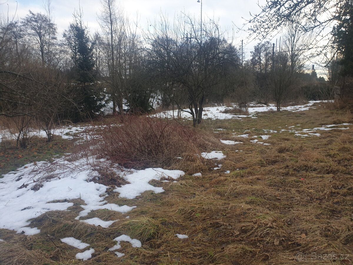Pronajmu zahradu u rybníka se zděnou chatkou v obci Horní Ce