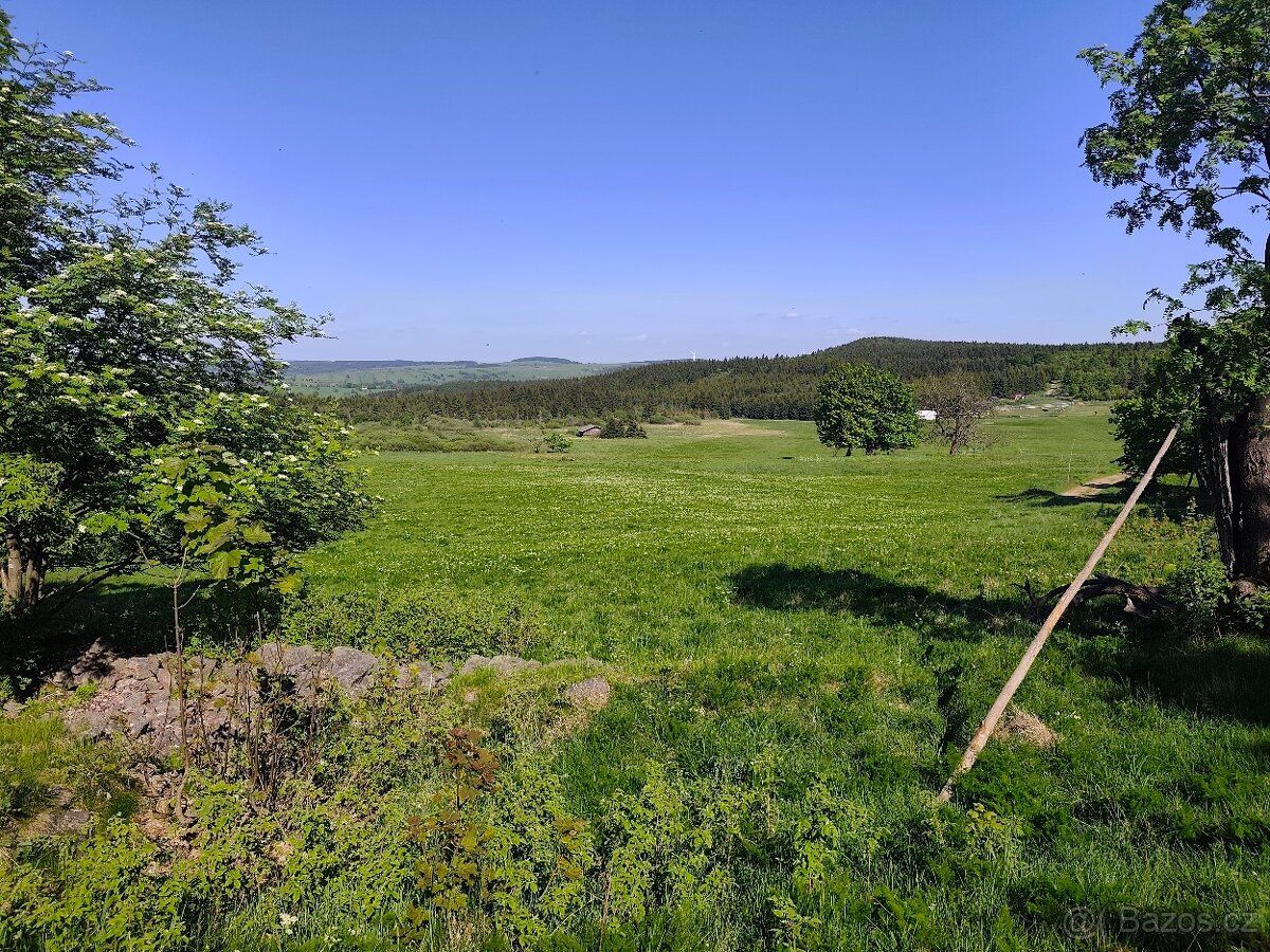 Pronajmu louku o celkove výměre 4700m2 v Desne 2. Pozemek je