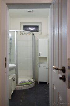 Pokud hledáte pronájem jedné místnosti ve zrekonstruovaném b