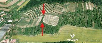Prodej pozemku o výměře 1125 m2 v katastru obce Němčičky u H