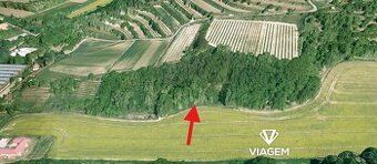 Prodej pozemku o výměře 1125 m2 v katastru obce Němčičky u H