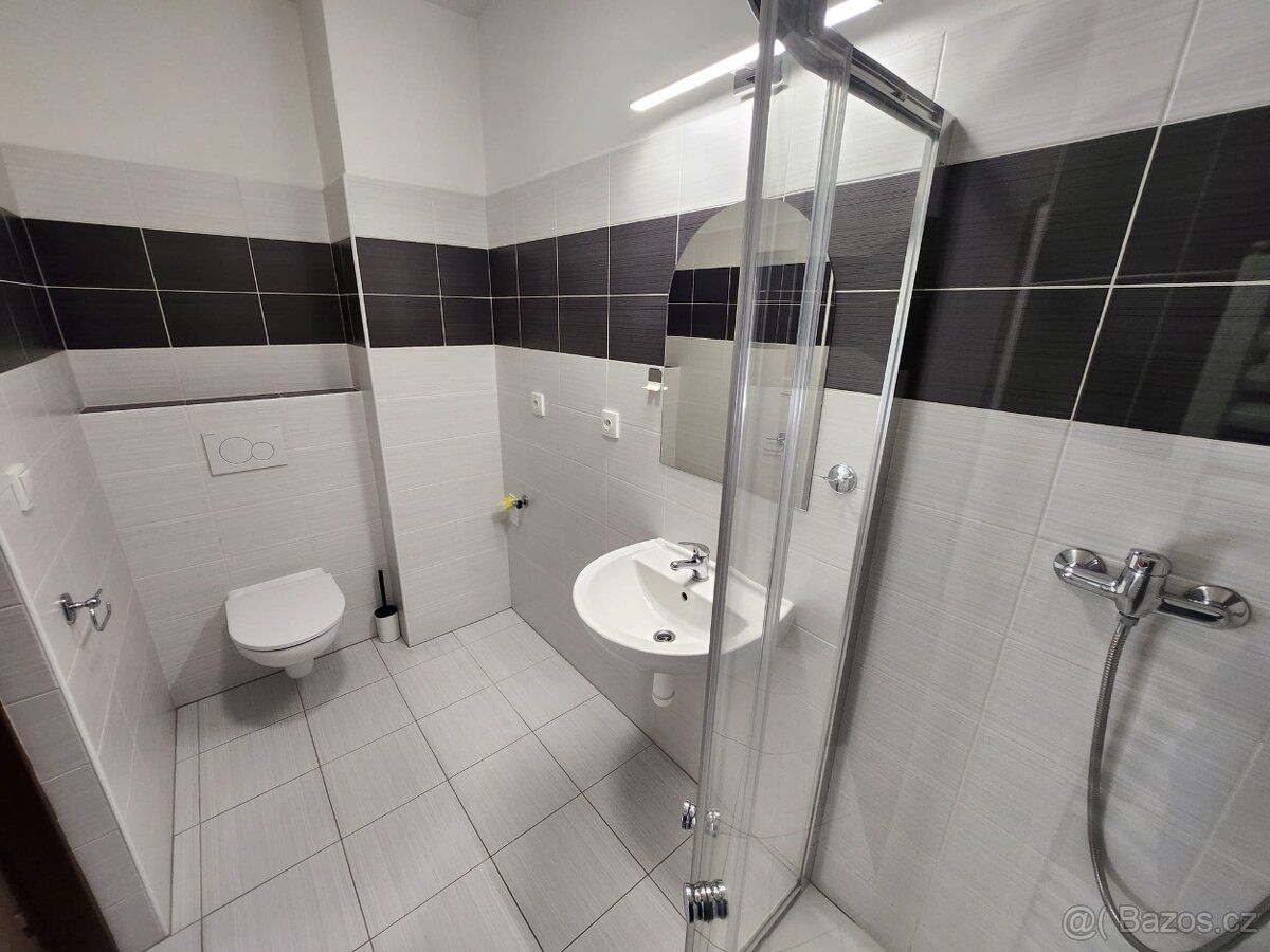 Nabízím k pronájmu slunný byt 2+kk o velikosti 55m2 v centru