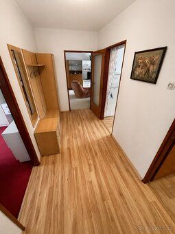 Prodej slunného, prostorného bytu 3+1 - 72 m2 v Písku. Sklep