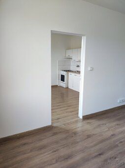 Nabízím k dlouhodobému pronájmu pěkný byt 1+1 o velikosti 35