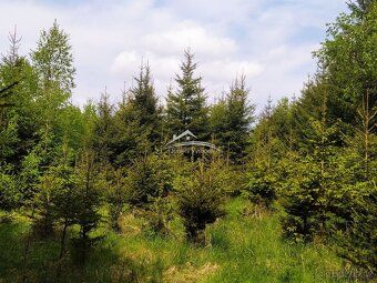 Nabízíme Vám ke koupi lesní pozemek o celkové výměře 8 890 m
