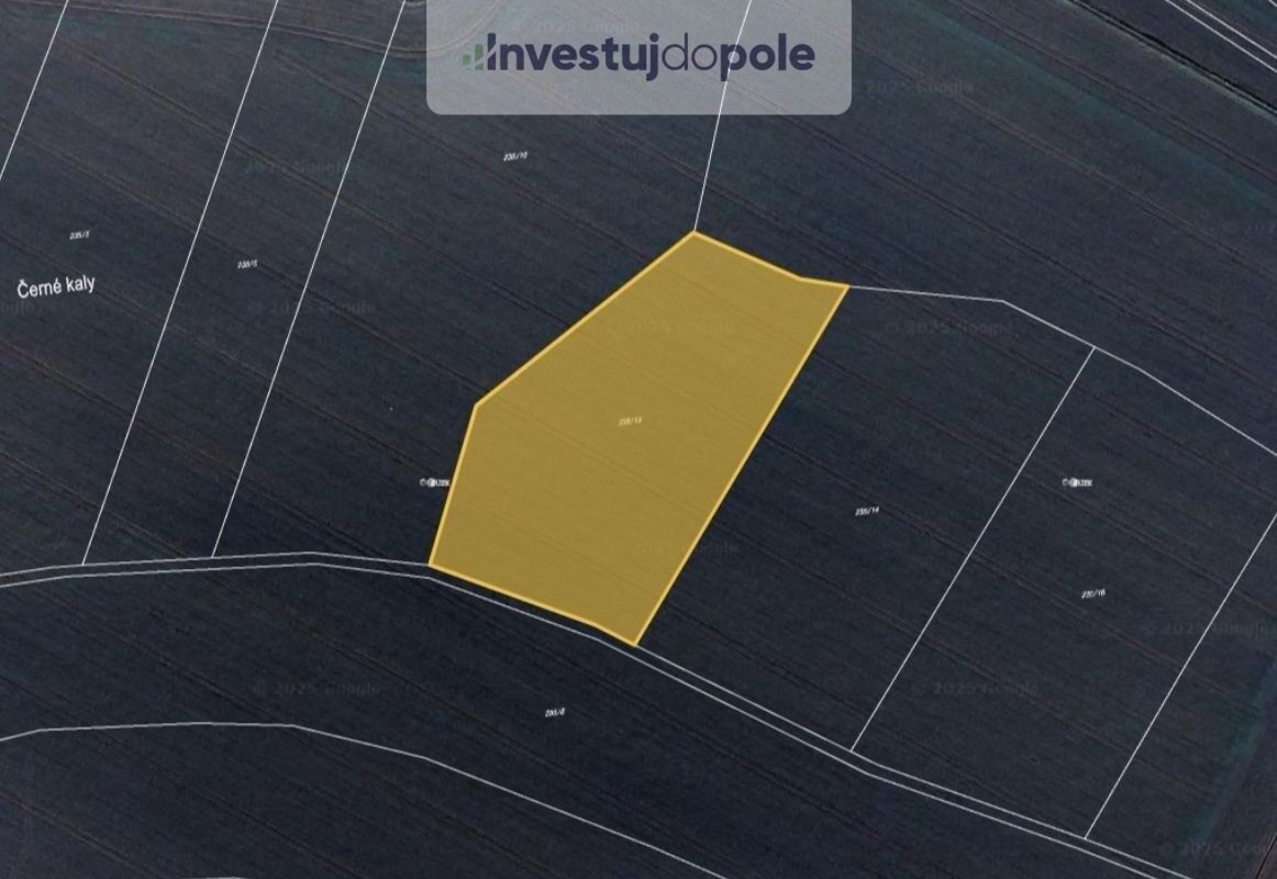 Ev.č. 2025-03-27-2 Již 10 let jsme vaše pravá ruka přes inve