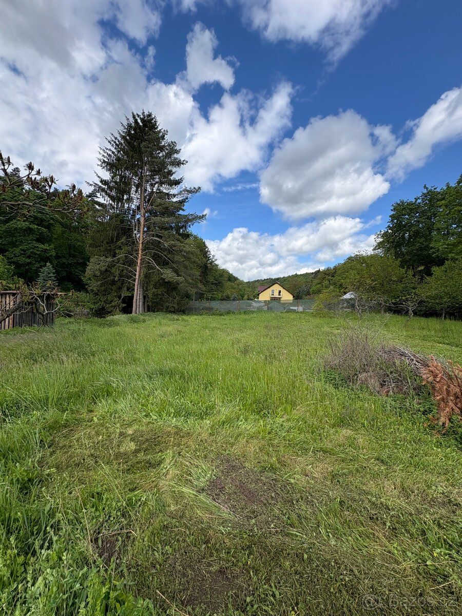 Fotky v inzerátu jsou z mé vlastní práce. Sekám malé i velké