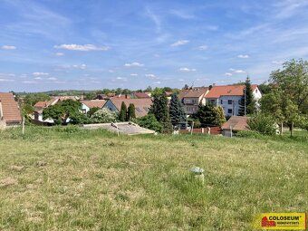 Ev.č. E4288Z038 Exkluzivně Vám nabízíme k prodeji vinný skle
