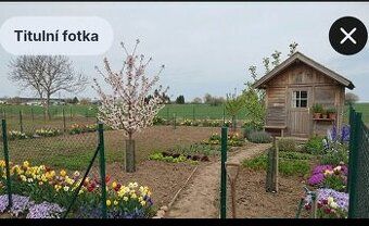 Prodám udržovanou rekreační zahradu v Čáslavi o výměře 234 m