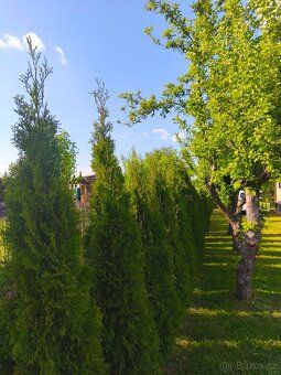 Nabízíme k prodeji chatu o zastavěné ploše 16 m² se zahradou