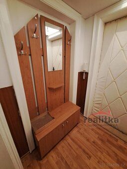 Nabízíme k pronájmu slunný byt 1+1 o výměře 46 m² v cihlovém