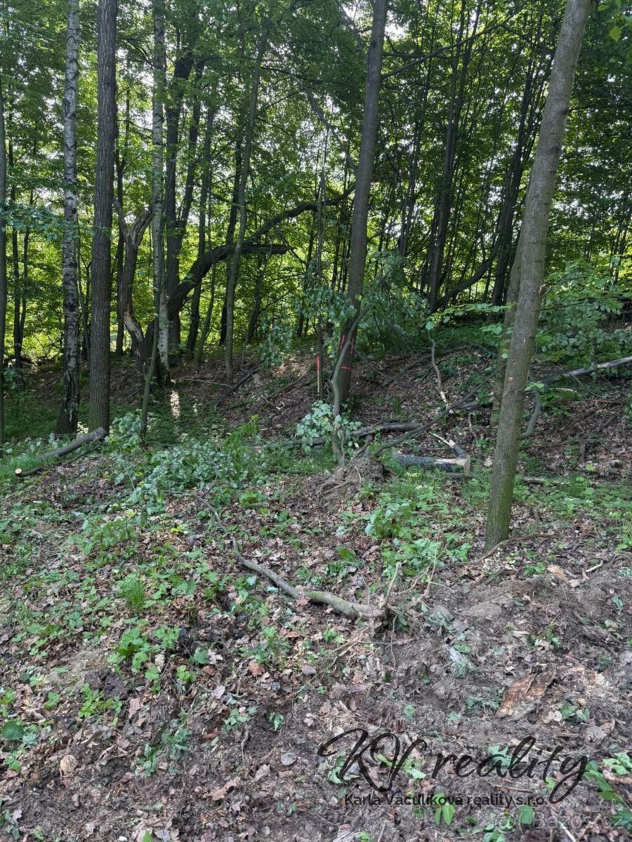 Nabízím k prodeji lesní pozemek v obci Komárovice o CP 7 989