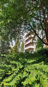 Celková výměra 69m2,byt 2+1, 57m2 plocha bez lodžie, lodžie 