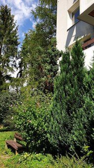 Celková výměra 69m2,byt 2+1, 57m2 plocha bez lodžie, lodžie 