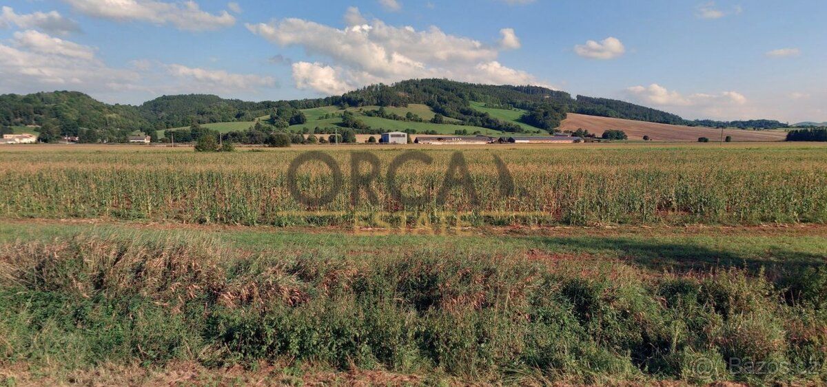 Nabízím pozemek p.č. 315/1 v k.ú. Městečko Trnávka (okres Sv