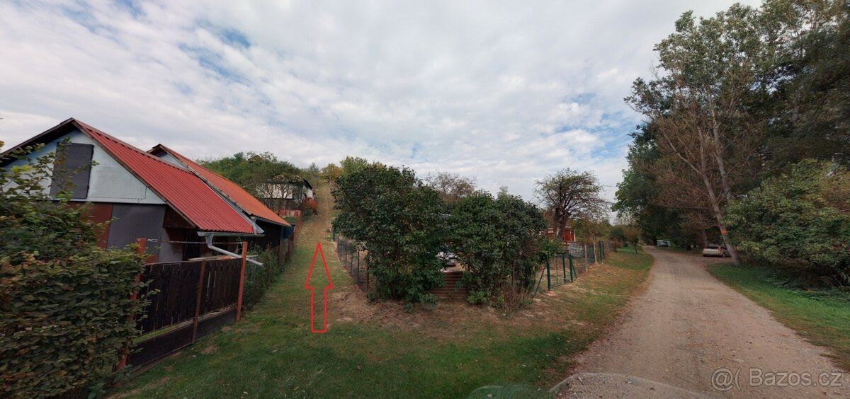 Nabízím k dlouhodobému pronájmu pozemek vedený jako vinice. 