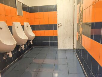 Nabízím Vám přenechání pronájmu za odstupné zavedené a oblíb