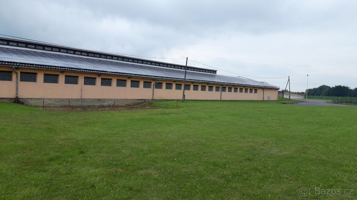 Nabízíme k pronájmu halu v obci Třeština určenou pro skladov