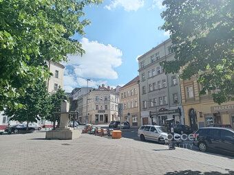 Hledáte útulné bydlení v oblíbené lokalitě pražského Žižkova