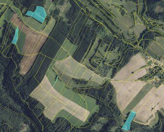 Prodej lesního pozemku – investice i možnost těžby | k.ú. Vá