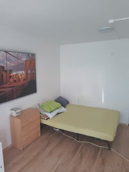Nabízím k pronájmu max pro 2 osoby útulný byt o dispozici 1+