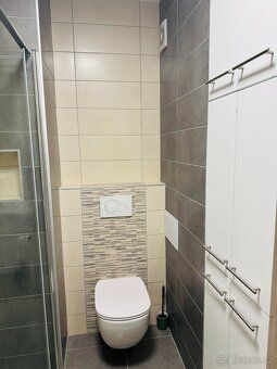 Dobrý den, nabízím k pronájmu byt 2+kk s terasou a sklepní k