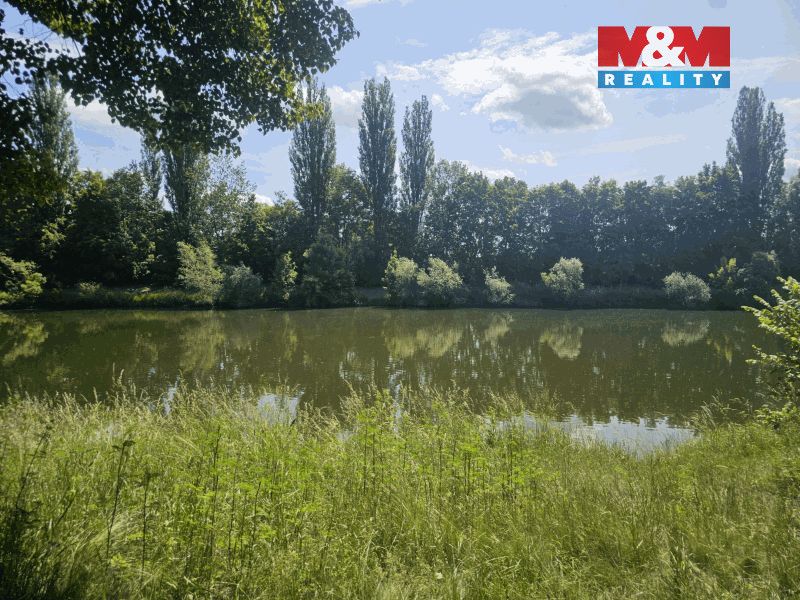 Prodej louky v katastrálním území Pražské Předměstí o výměře