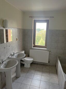 Nabízím k pronájmu světlý prostorný byt v žádané lokalitě Li