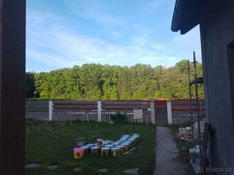 Prodám RD u Plané nad Lužnicí 300m2.Dole obyvatelný k případ
