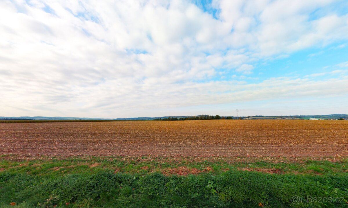 Přímo ve Zruči nad Sázavou prodávám stavební pozemek, který 