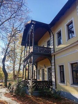 Pronájem bytu 1+1KK, I.kat. zn.dobrý stav, nový město: Písek