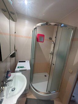 Nabízím k pronájmu byt 1+kk o výměře 30,20 m² na ulici Labsk