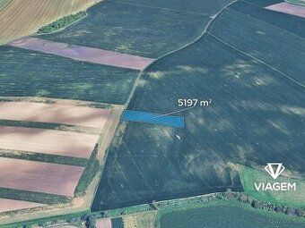 Prodej pozemku o výměře 553 m2 v katastru obce Křepice u Hus