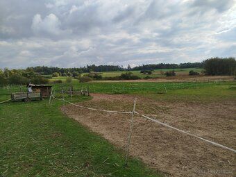 Prodám pozemek v nádherném prostředí o rozloze 20 363 m². 1 