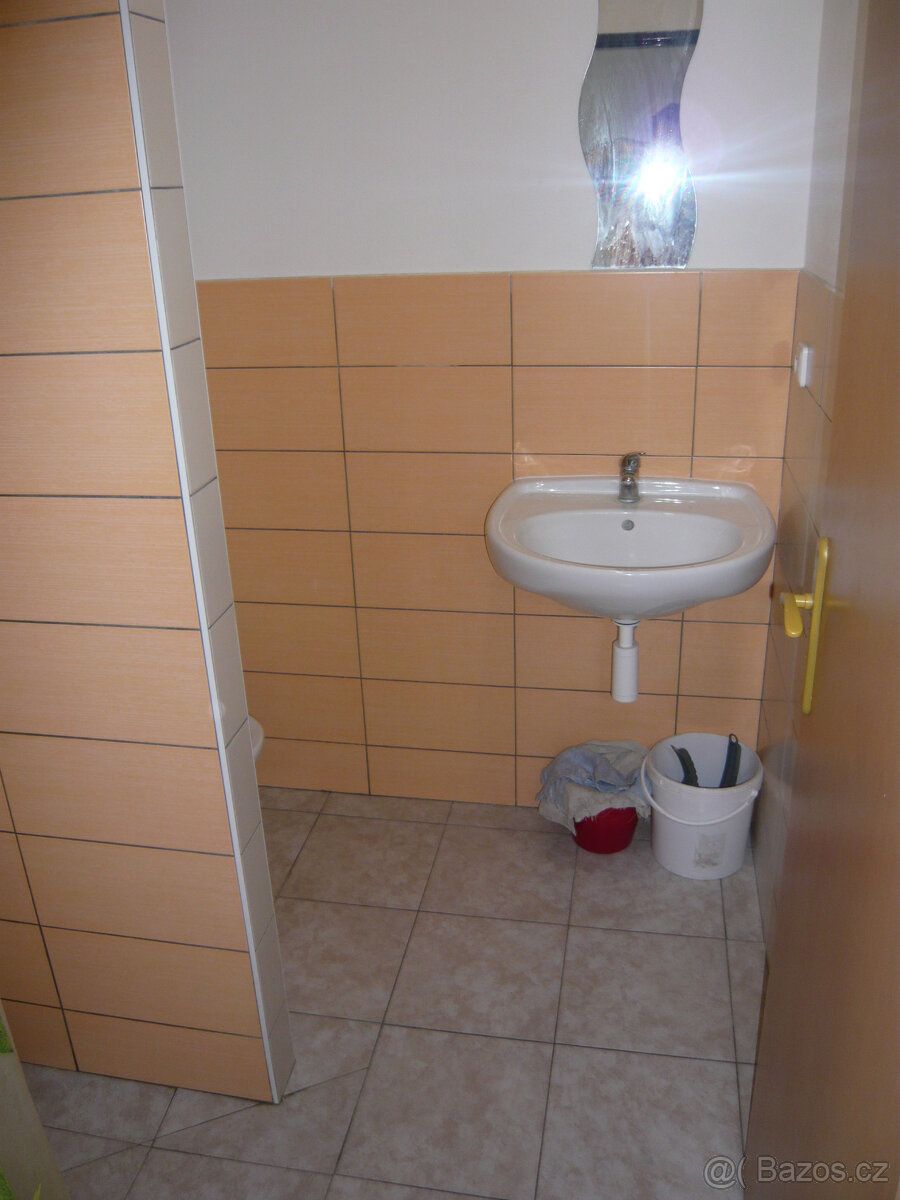 Pronájem 2kk v RD v Lysé nad Labem