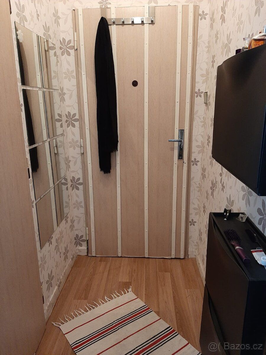 DLOUHODOBĚ PRONAJMU GARSONKU(cca 25m2) Garsoniéra je situová
