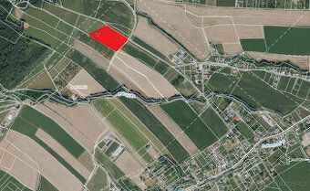 Pole o výměře 12 181 m2 je do sklizně 2027 v pronájmu u Reno