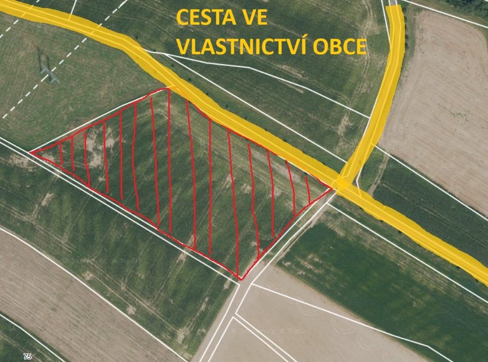 Pole o výměře 12 181 m2 je do sklizně 2027 v pronájmu u Reno