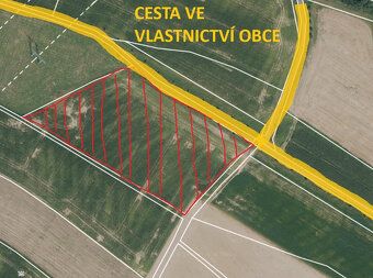 Pole o výměře 12 181 m2 je do sklizně 2027 v pronájmu u Reno
