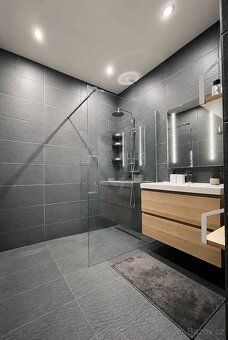 2+kk 48 m² | Praha 7 Holešovice — Ortenovo náměstí | po reko