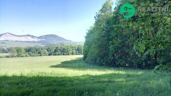 Nabízíme ke koupi lesní pozemky v k. ú. Ženklava. Jedná se o
