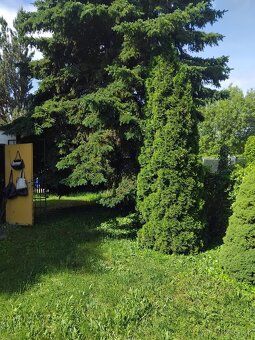Nabízím k prodeji útulnou zahradu s chatkou o rozloze 450 m²