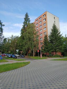 Nabízím k prodeji byt 1+1 o výměře 39,08 m² v klidné části T
