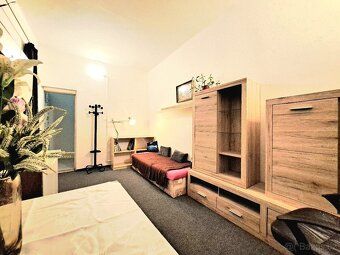 Pronájem bytu 1kk o 20m², Maloměřický Most, pro jednu osobu,