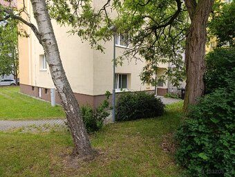 Pronajmu garsonku na Borech, Čechova ulice. Cena včetně ener