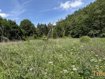 Ev.č. 00290 Ticho. Klid. Maximálně zpěv ptáků a šum řeky Svi