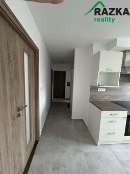 Nabízíme k pronájmu nově zrekonstruovaný byt v Plané, na uli