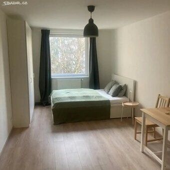 Pronájem velkého bytu v Kraslicích přímo od majitele.
Krasli